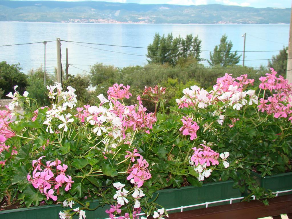 Apartments Villa Sunce Dugi Rat Rum bild